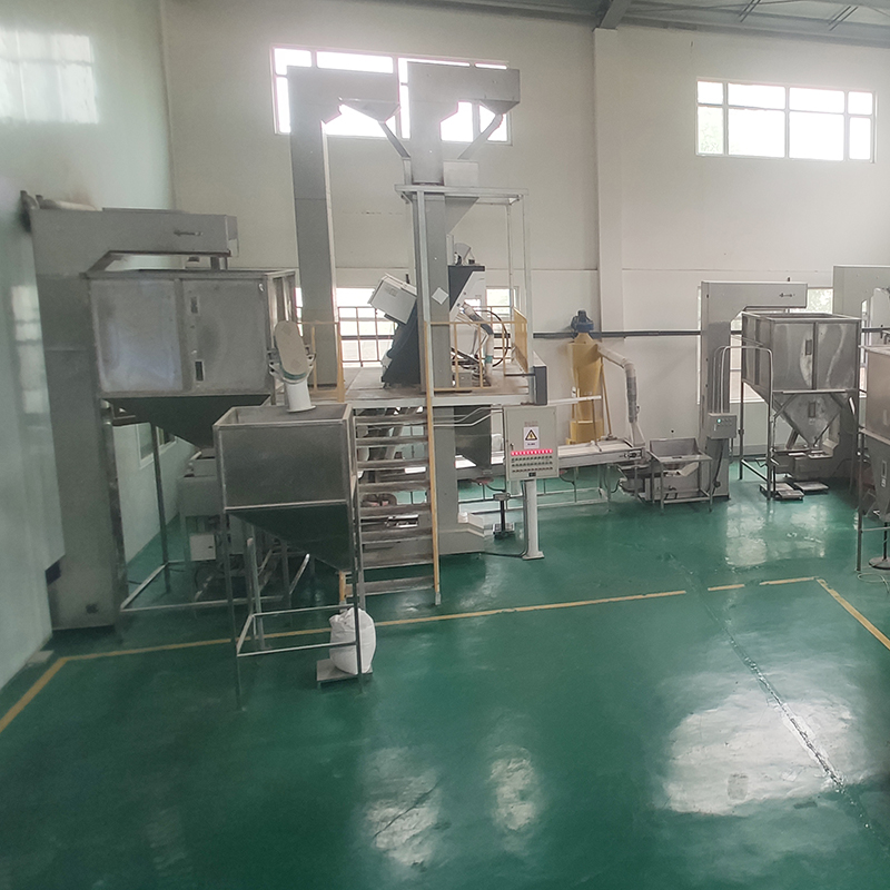 Food Grade Stainless Steel Z Tipe Ember Lift