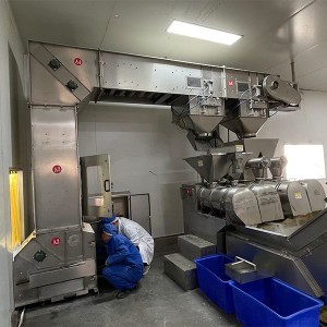 Food z shaped bucket elevator machine